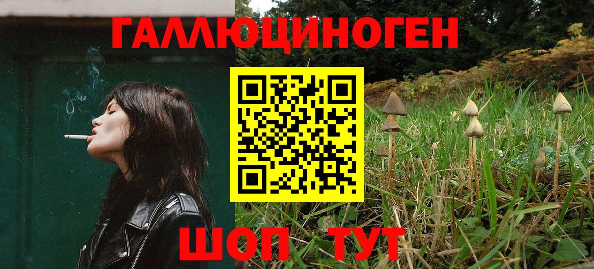 Псилоцибиновые грибы мицелий  Вход с VPN  Псилоцибиновые грибы Cubensis  Омск 